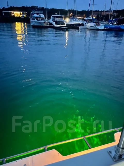 Bayliner. 1988 ���, ����� 7,62��., ��������� ������������, 250��.�., ������ ����