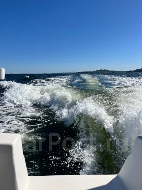 Bayliner. 1988 ���, ����� 7,62��., ��������� ������������, 250��.�., ������ ����