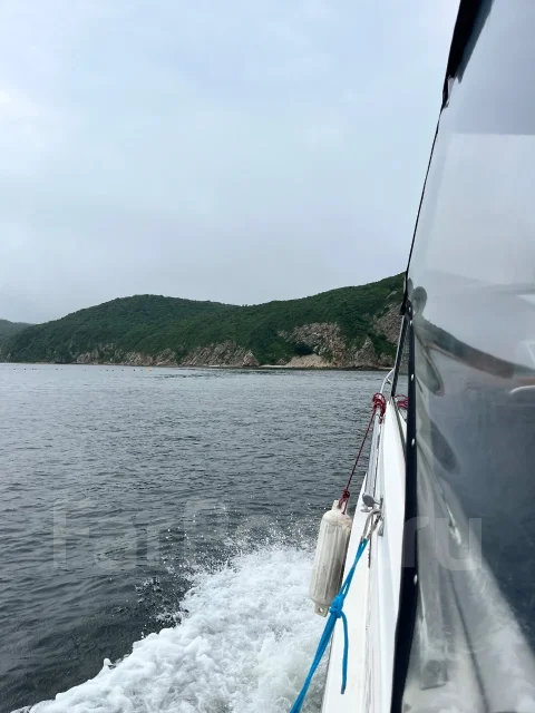 Bayliner. 1988 ���, ����� 7,62��., ��������� ������������, 250��.�., ������ ����