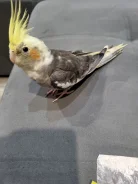 �������. ����