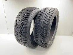 Blacklion W506 Winter Tamer