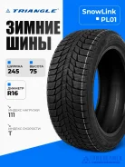 Triangle Snowlink PL01