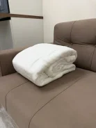 �����. ����