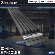 ������ ������������ 6PK1019E Miles ���. 6PK1019E 6PK1019E ����