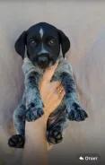 ��������. ����