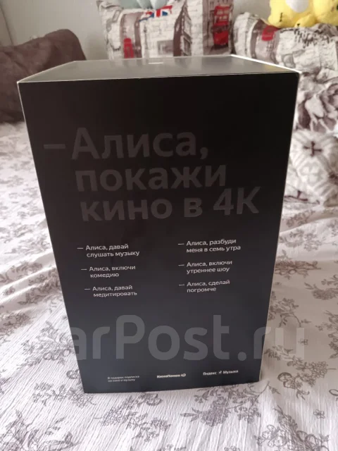 ������ ������� ���� ����
