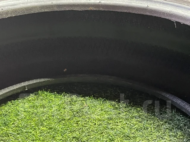 Presa PI02. ������, ��� �����, 2018 ���, �/�, ����� 10 % ����
