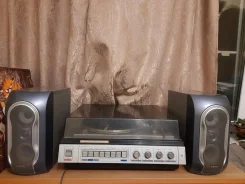 ��������� �������������. ����