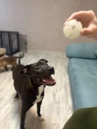 ������. ����
