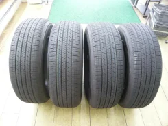 Dunlop Grandtrek H/T31