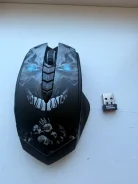 ���� �������. ����