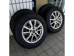 Manaray Sport Euromax