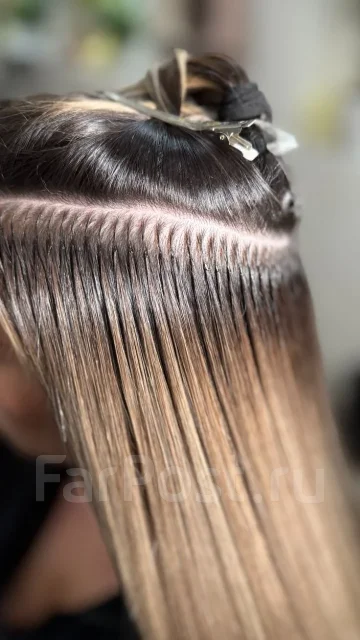 ����������� ����� ��������� ����