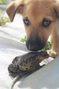 ������. ����� ����