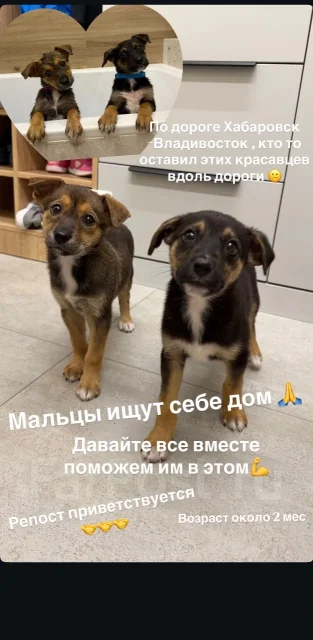 ������. ����