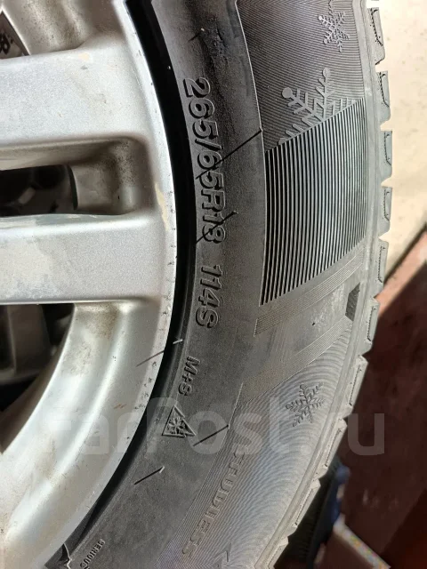 Bearway BW-Ice. ������, ��� �����, 2025 ���, �/�, ����� �� 5 % ����