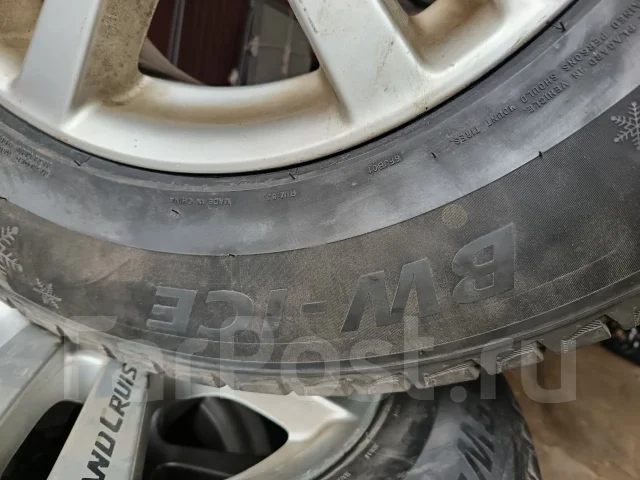 Bearway BW-Ice. ������, ��� �����, 2025 ���, �/�, ����� �� 5 % ����