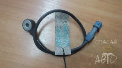 ������ ��������� Audi A6 054905377G C5 054905377G ����