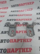 ����� ����� Nissan Expert VW11, �������� ������ ����