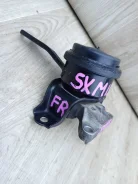 ����� ��������� ������ Gaia Ipsum SXM15 Ipsum SXM15 Nadia SXN15 12362-74490 ����