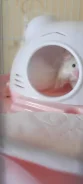 ����. ����