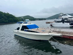 Yamaha FR-26. 1998 ���, ����� 8,5��., ��������� ���������, 250��.�., ������ ����