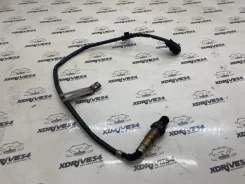 ������ ����������� FORD Focus BV619G444AA 3 CB8 2.0 MGDA BV619G444AA ����