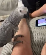 ������� ����. ����