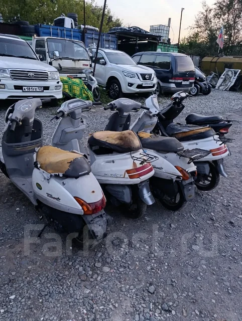 Honda Tact. 49����. ��., ����������, ���������, ��� ������� ����