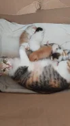 �����. ����