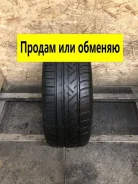 Pirelli Dragon