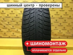 Delinte Winter WD52