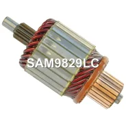 ����� �������� Krauf SAM9829LC SAM9829LC ����