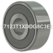 ��������� ���������� Nsk B17123T1XDDG8C3E01 B17123T1XDDG8C3E01 ����