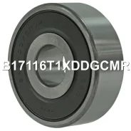 ��������� ���������� Nsk B17116T1Xddgcmr B17116T1XDDGCMR ����