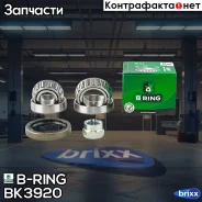 ��������� ������� (����. �����. ) [27x50.3x14.2/19.1x45.2x15.5] KIA Rio (00-) B-RING ���. BK3920 BK3920 ����