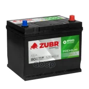 Zubr