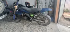 Roliz. 250����. ��., ��������, ��� ���, ������ �� �� ����