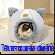 ������. ����