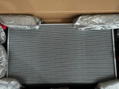 �������� ���������� F10 BMW 17118672012 wahler E2950002 ����