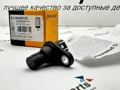 ������ ��������� N52, N52N, N53, S65 BMW VDO ����� S119044012Z ����