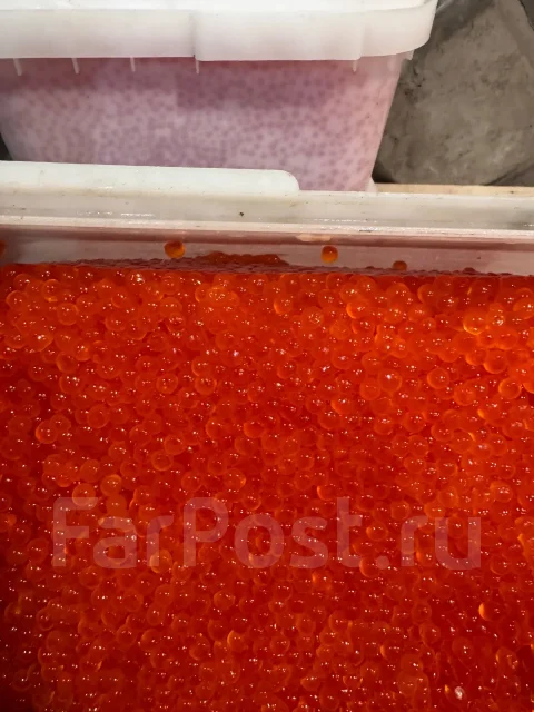 ���� ����. ����
