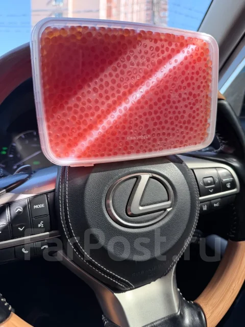 ���� ����. ����