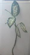 ������� ���������� � ��������� ������ + ��������� ������ ����