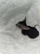 ������� ������. ����