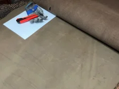 ���� �����������. ����