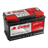 Zubr