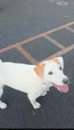 ������. ����