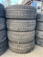 Continental NorthContact NC6. ������, ��� �����, 2019 ���, �/�, ����� 5 % ����