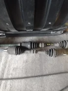 ������ ������ � �������� ������ ������ ����